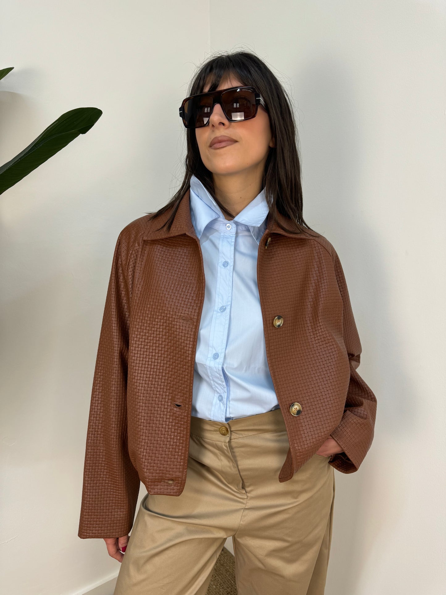 Bomber Haveone