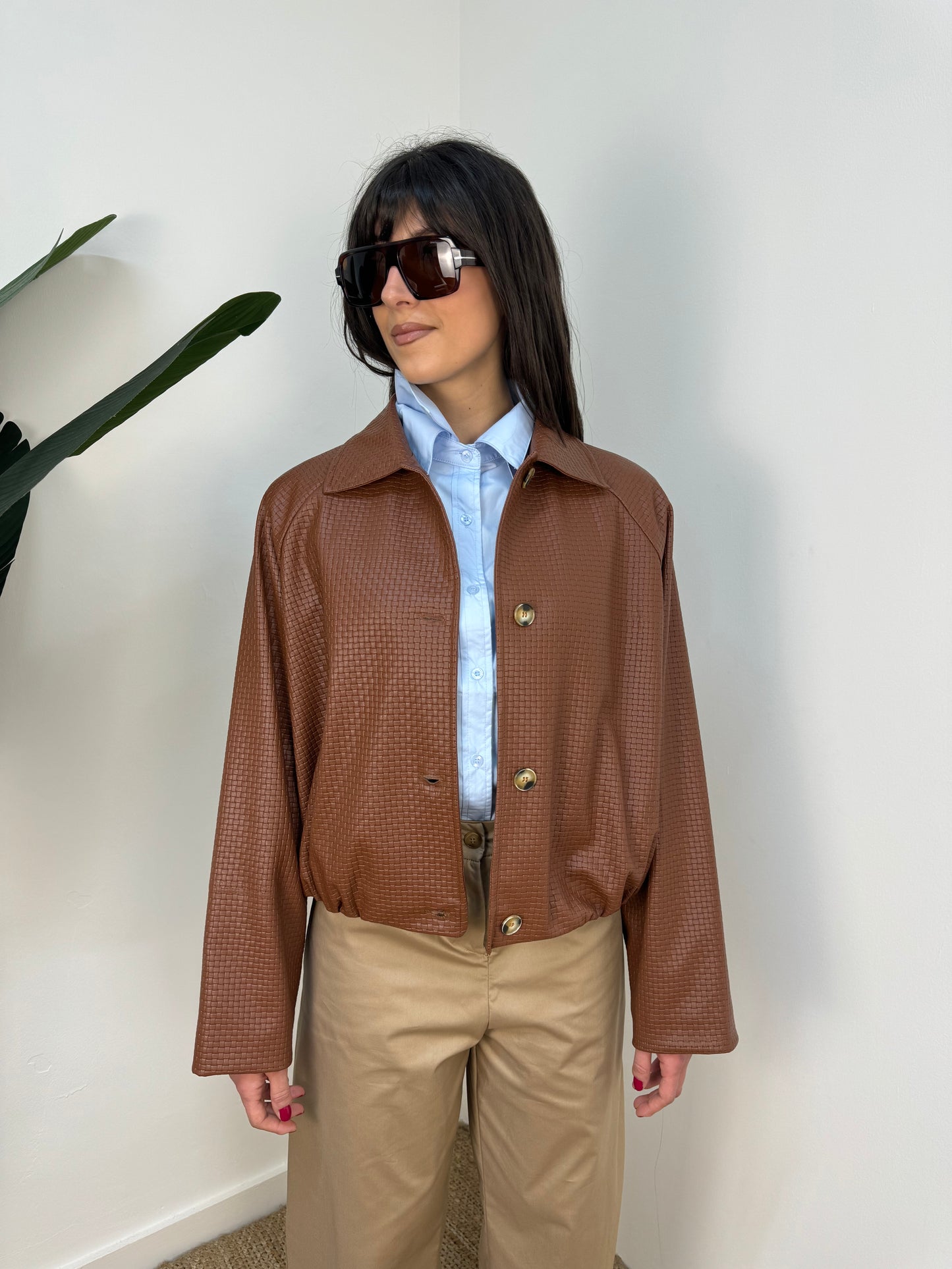 Bomber Haveone